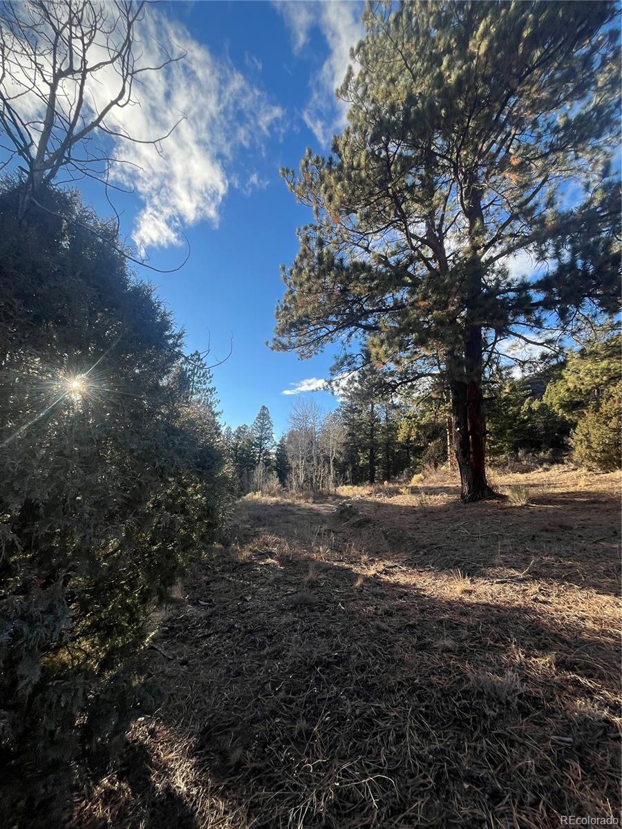 Forbes Road Fort Garland CO 81133
