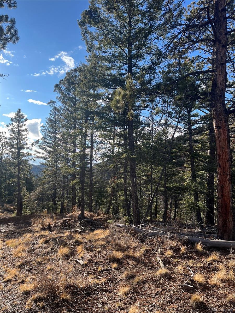 Forbes Road Fort Garland CO 81133