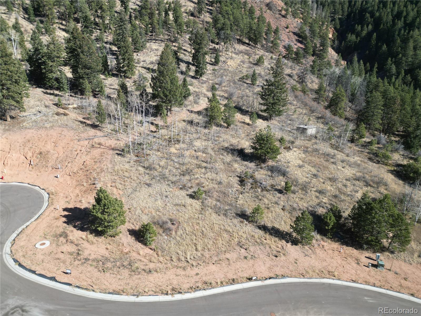 17 Blue Haven Place Woodland Park CO 80863