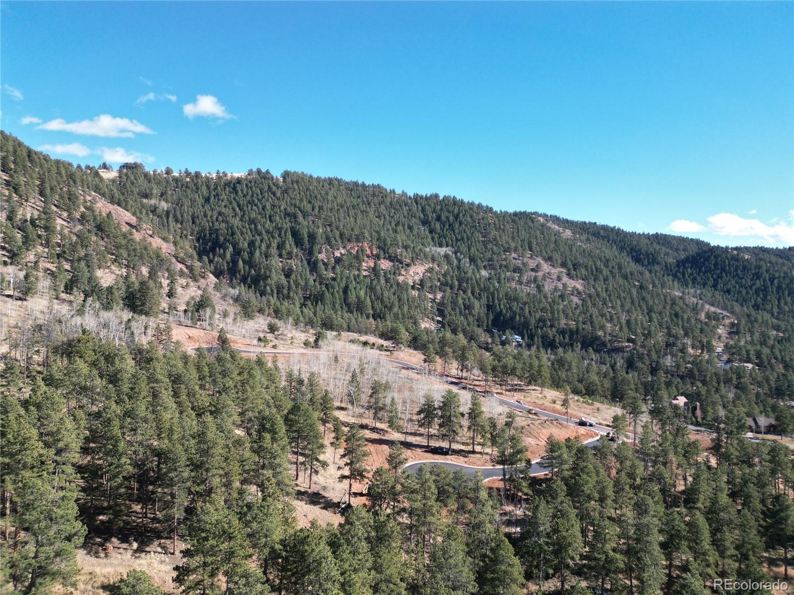 17 Blue Haven Place Woodland Park CO 80863