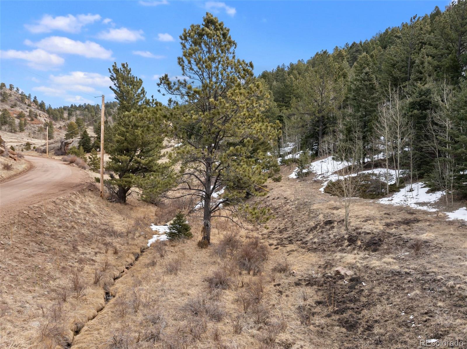 278 Penrose Circle Florissant CO 80816