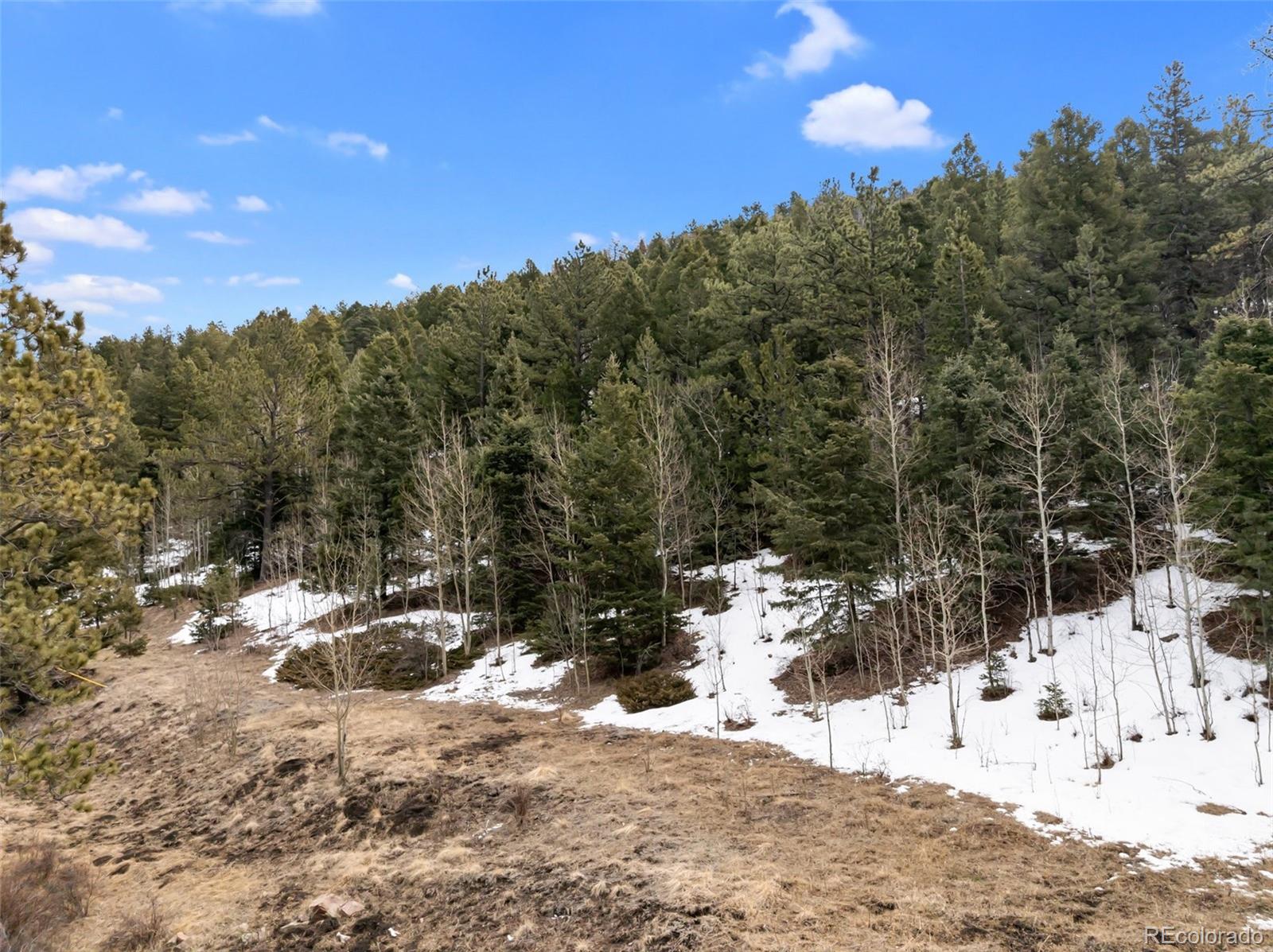 278 Penrose Circle Florissant CO 80816