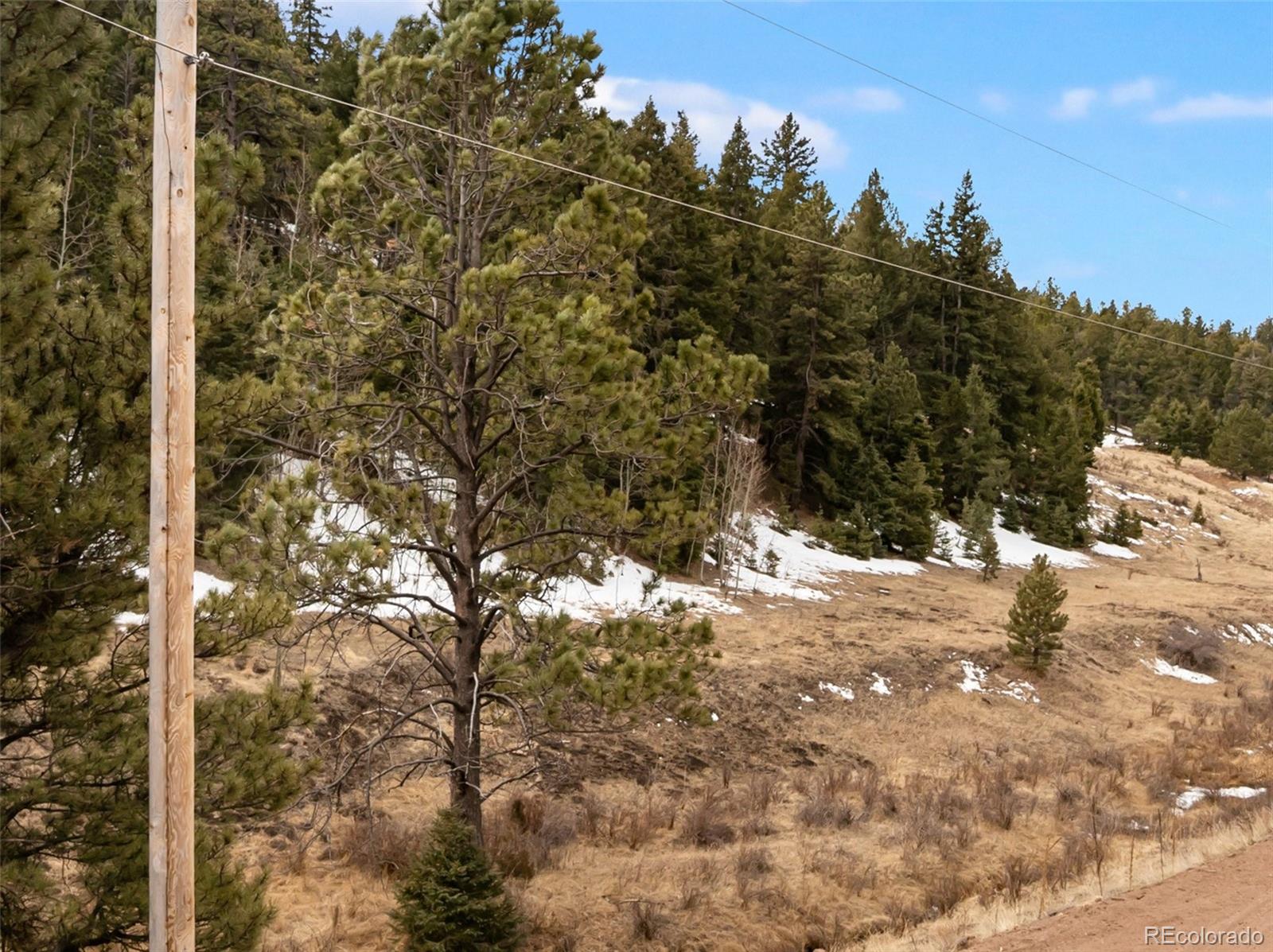278 Penrose Circle Florissant CO 80816