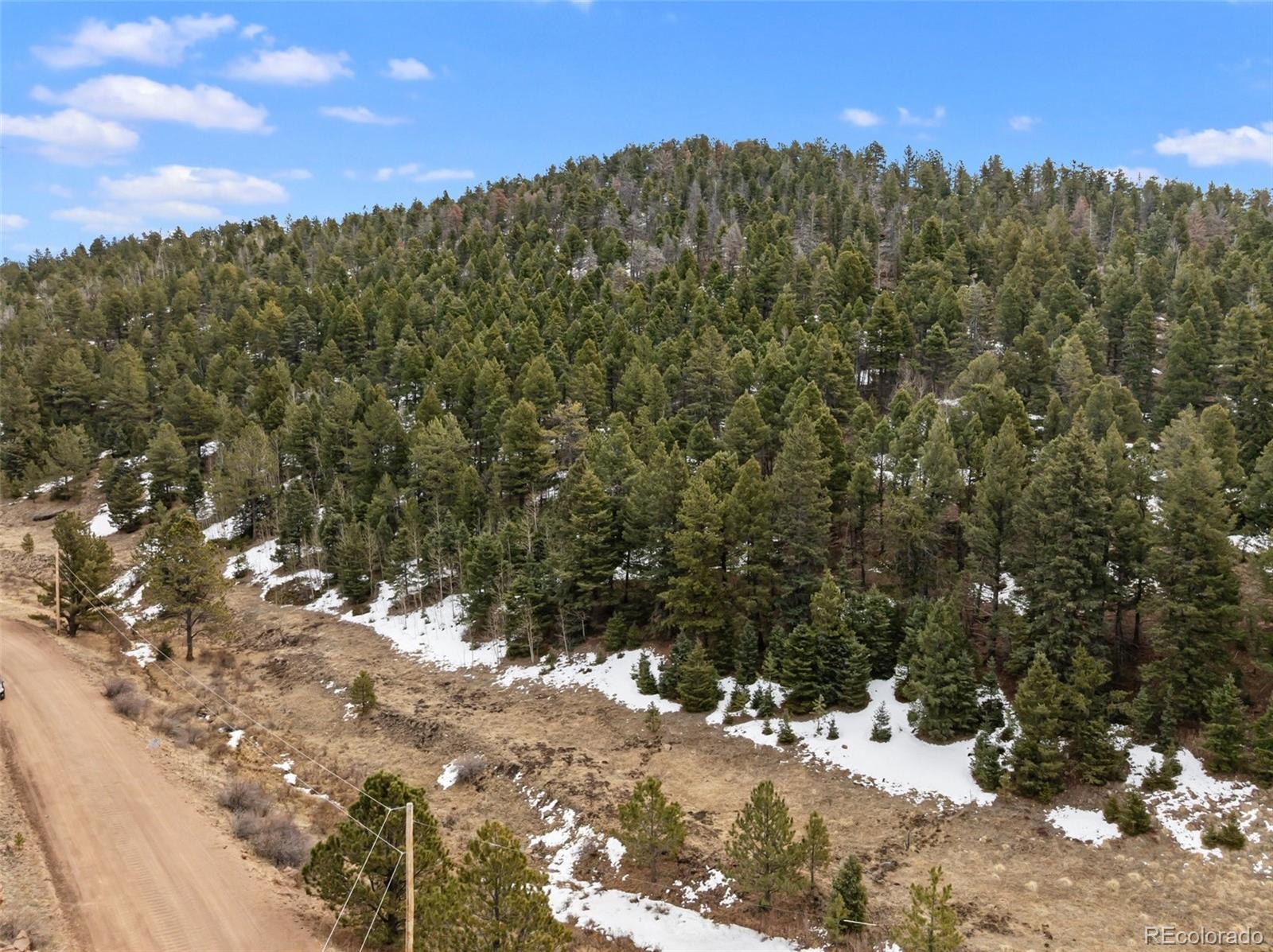 278 Penrose Circle Florissant CO 80816