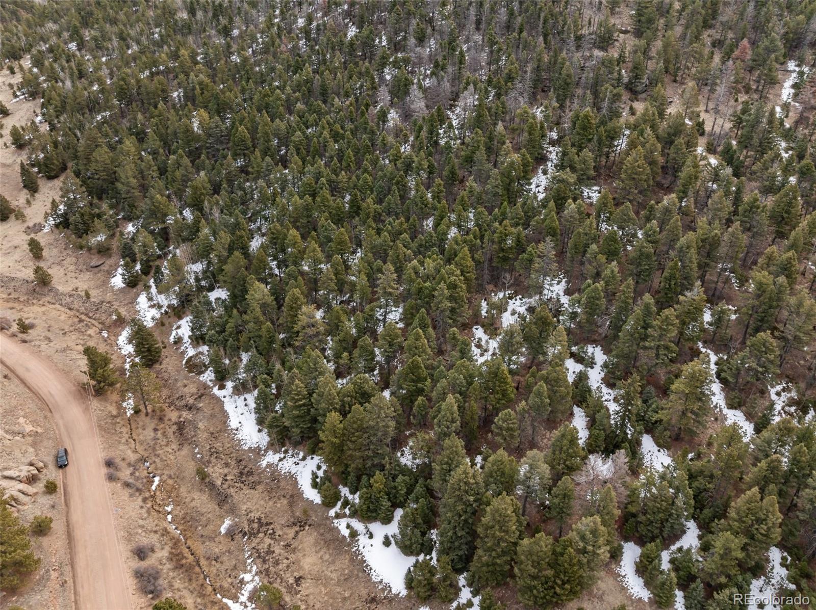 278 Penrose Circle Florissant CO 80816