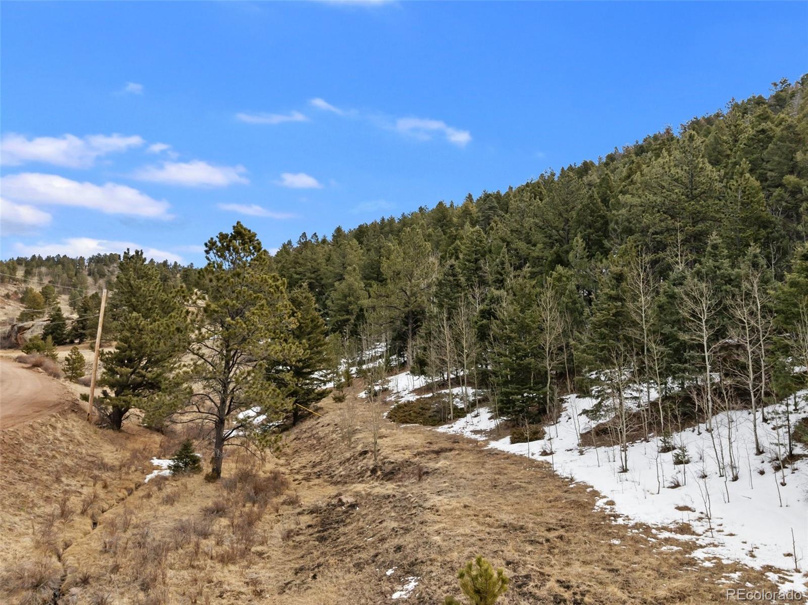 278 Penrose Circle Florissant CO 80816