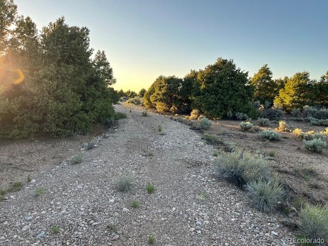 8113 County Road 18.9 San Luis CO 81152