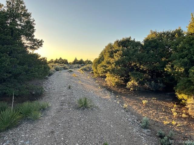 8113 County Road 18.9 San Luis CO 81152