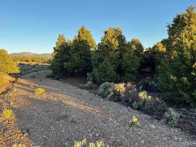 8113 County Road 18.9 San Luis CO 81152