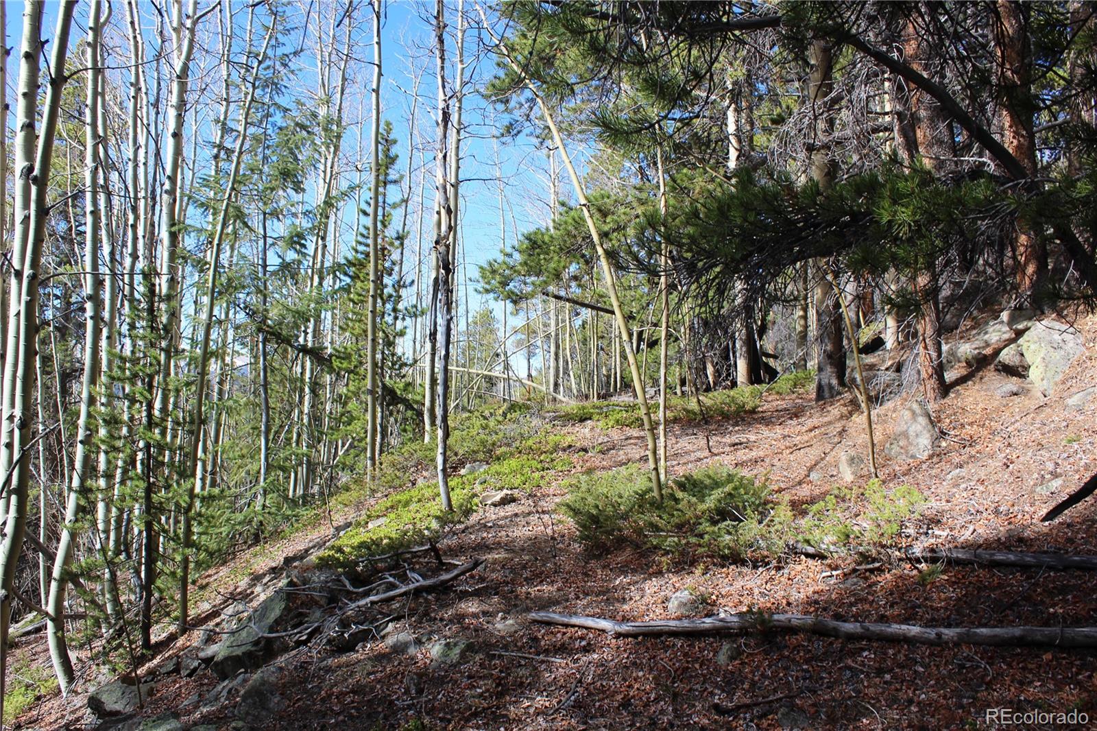 4-2 Lamertine Road Idaho Springs CO 80452