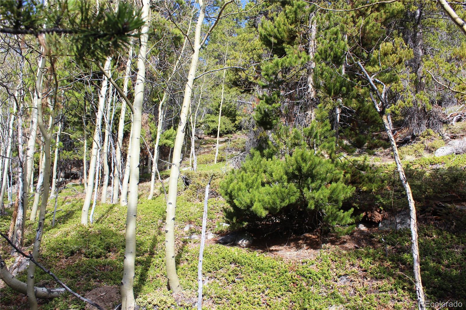 4-2 Lamertine Road Idaho Springs CO 80452