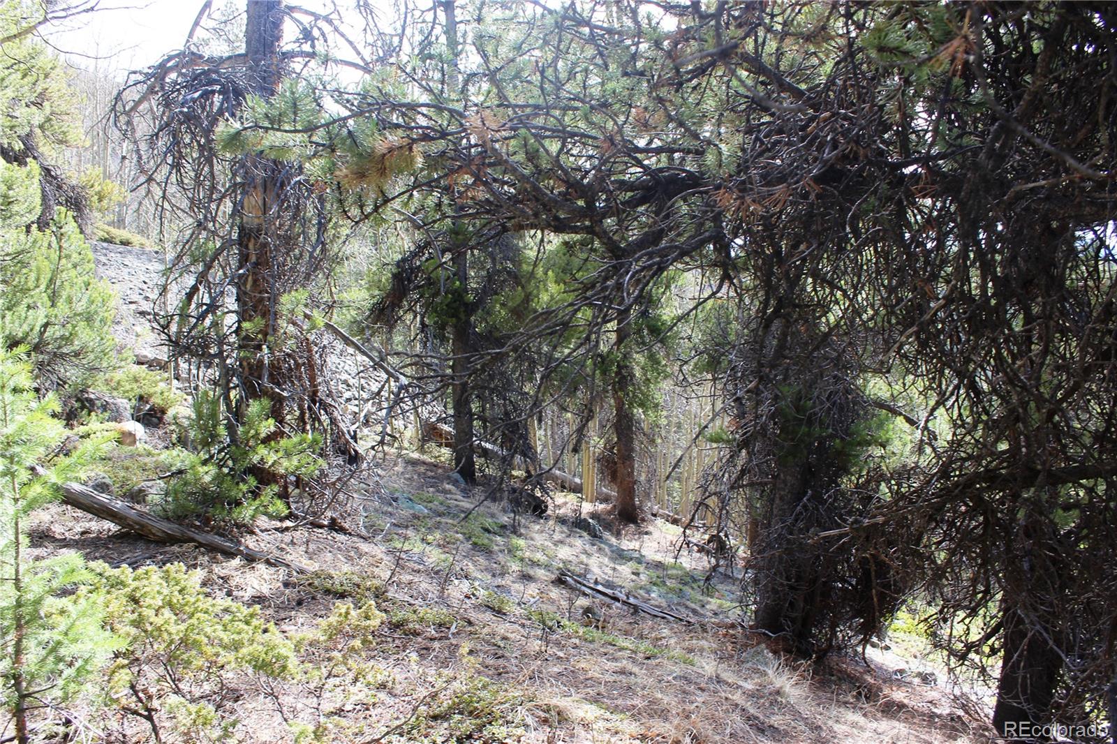 4-2 Lamertine Road Idaho Springs CO 80452
