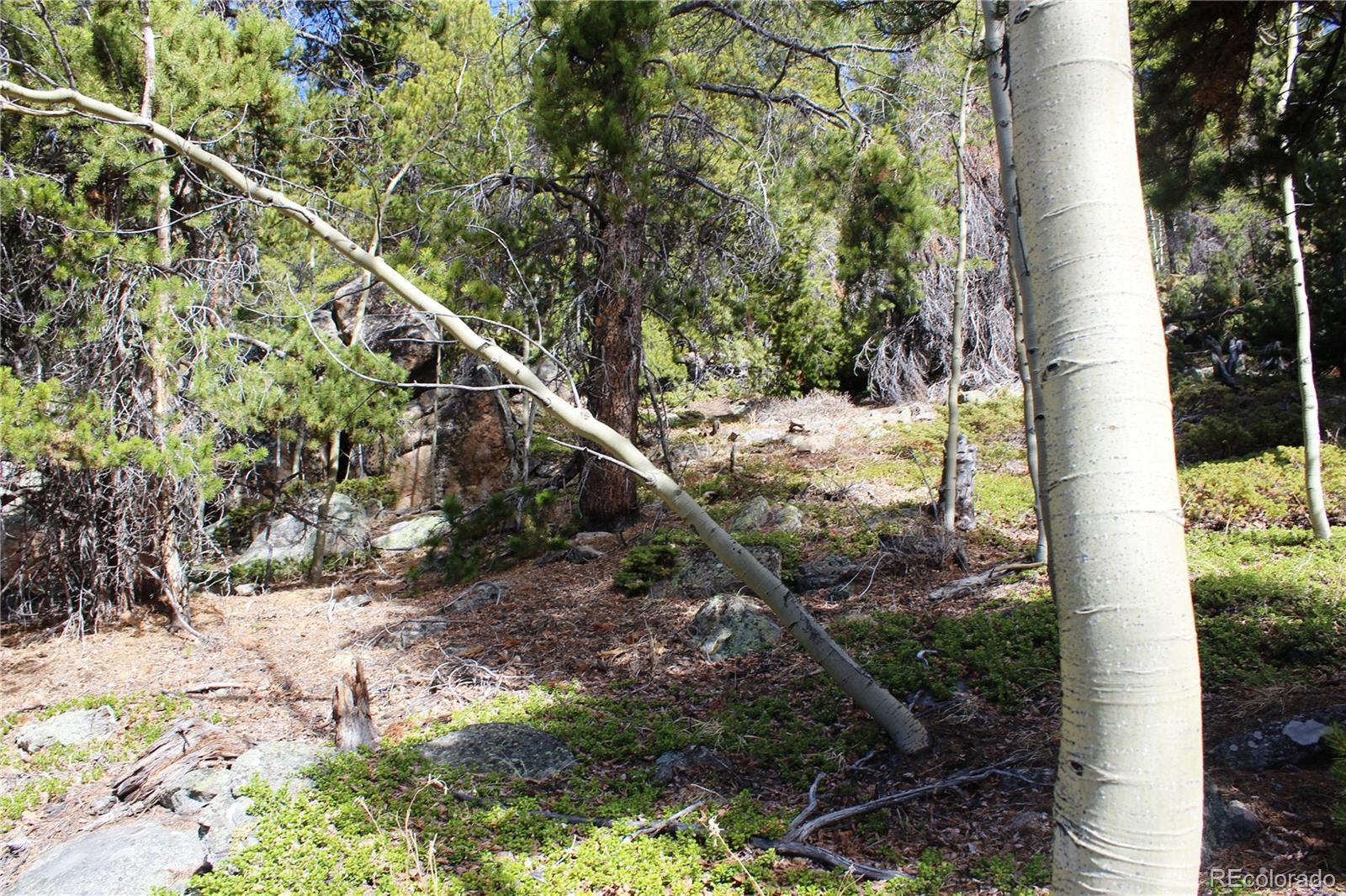 4-2 Lamertine Road Idaho Springs CO 80452