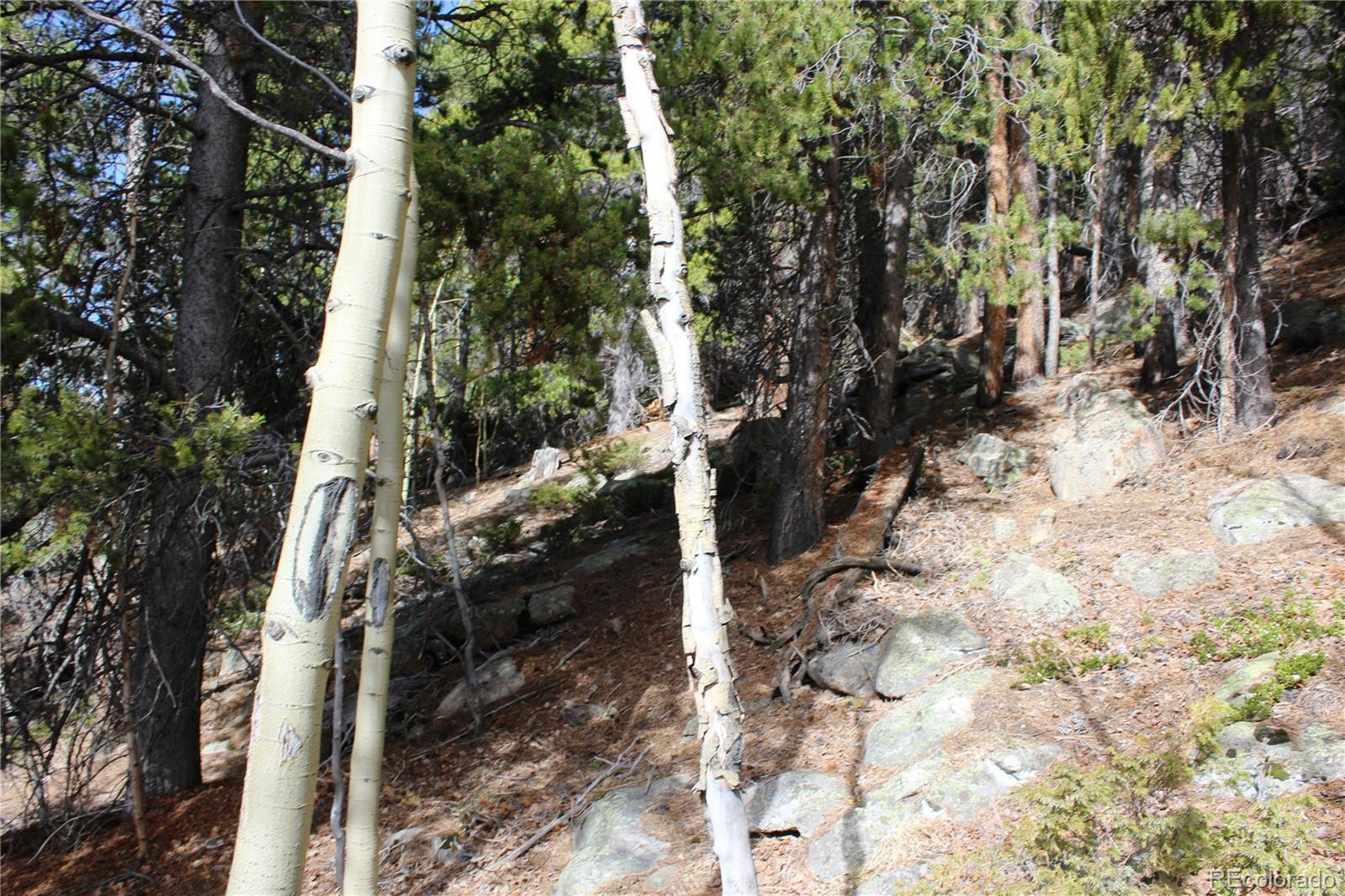 4-2 Lamertine Road Idaho Springs CO 80452