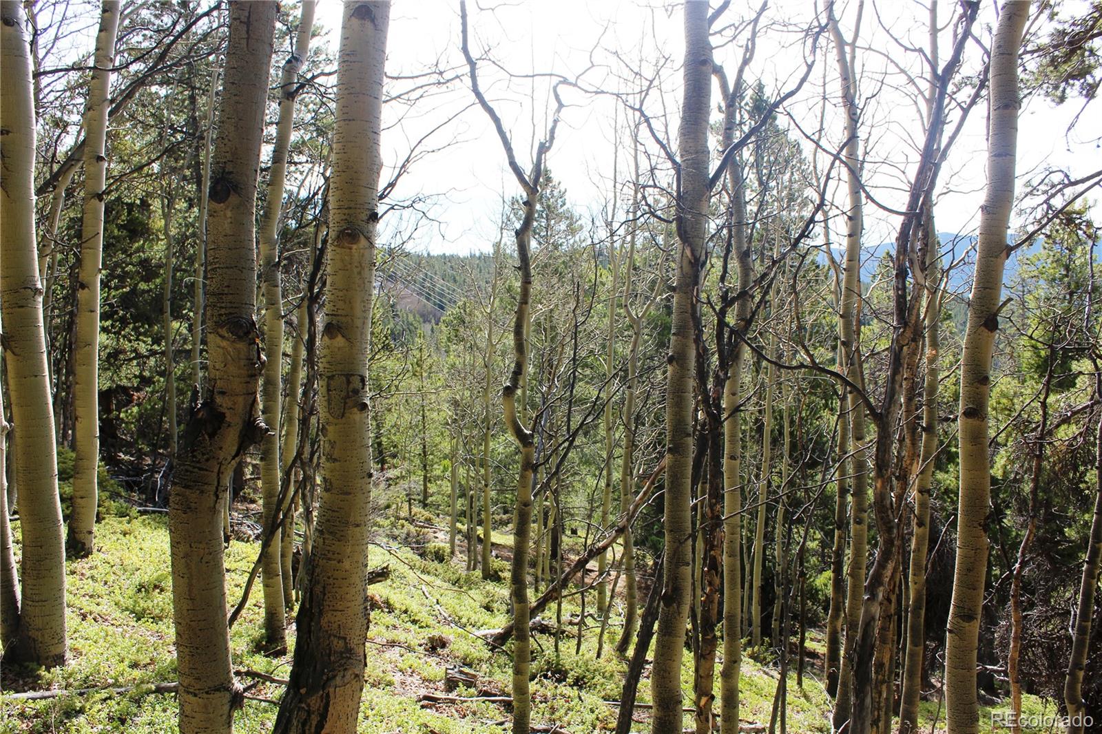 4-2 Lamertine Road Idaho Springs CO 80452
