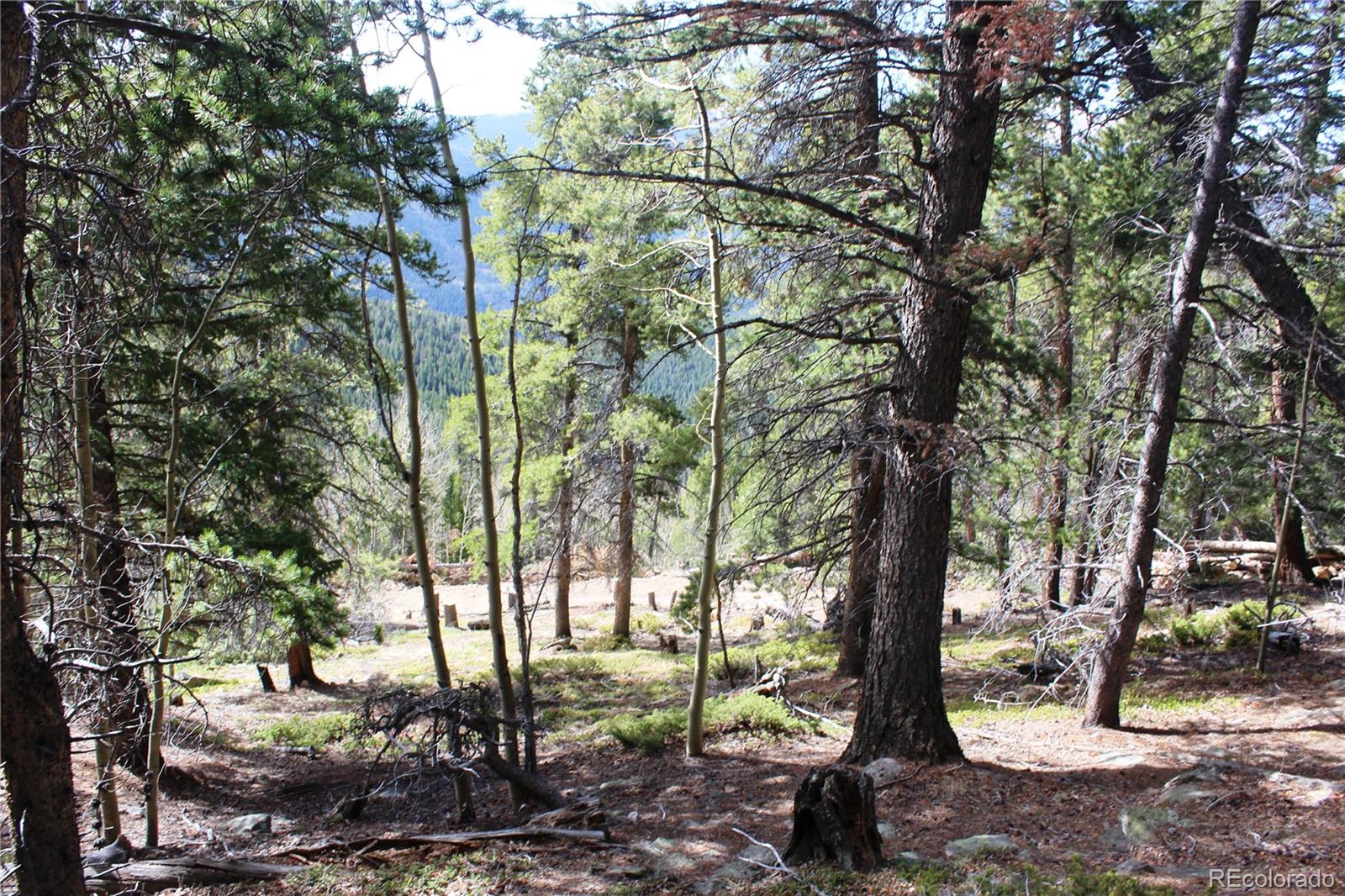 4-2 Lamertine Road Idaho Springs CO 80452