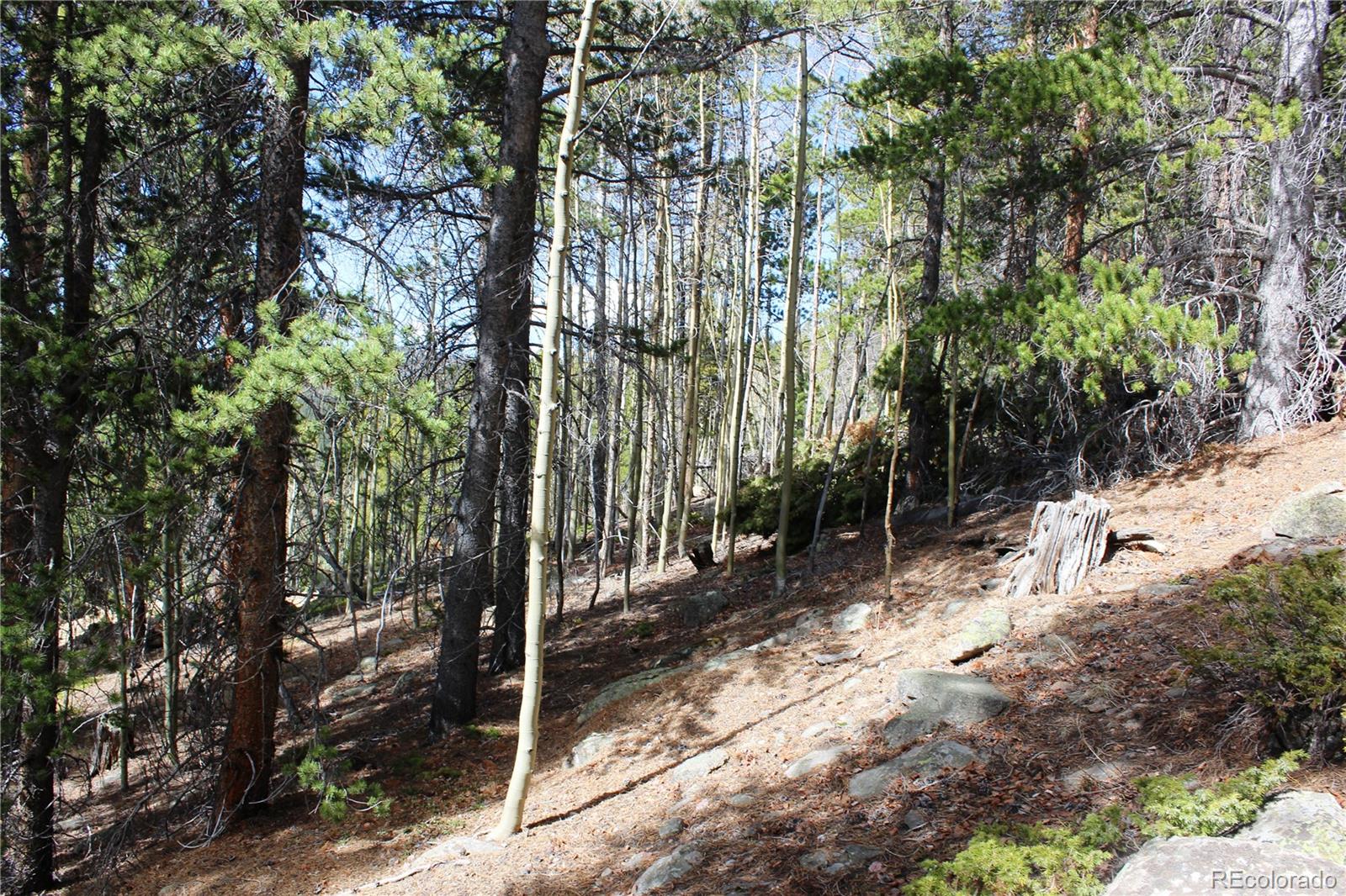 4-2 Lamertine Road Idaho Springs CO 80452