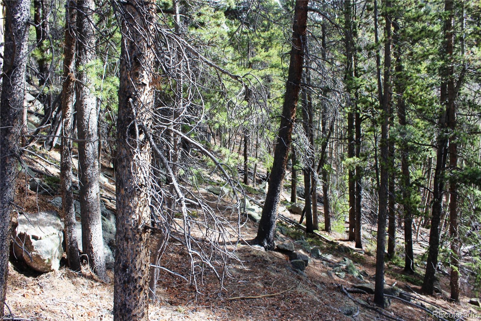 4-2 Lamertine Road Idaho Springs CO 80452