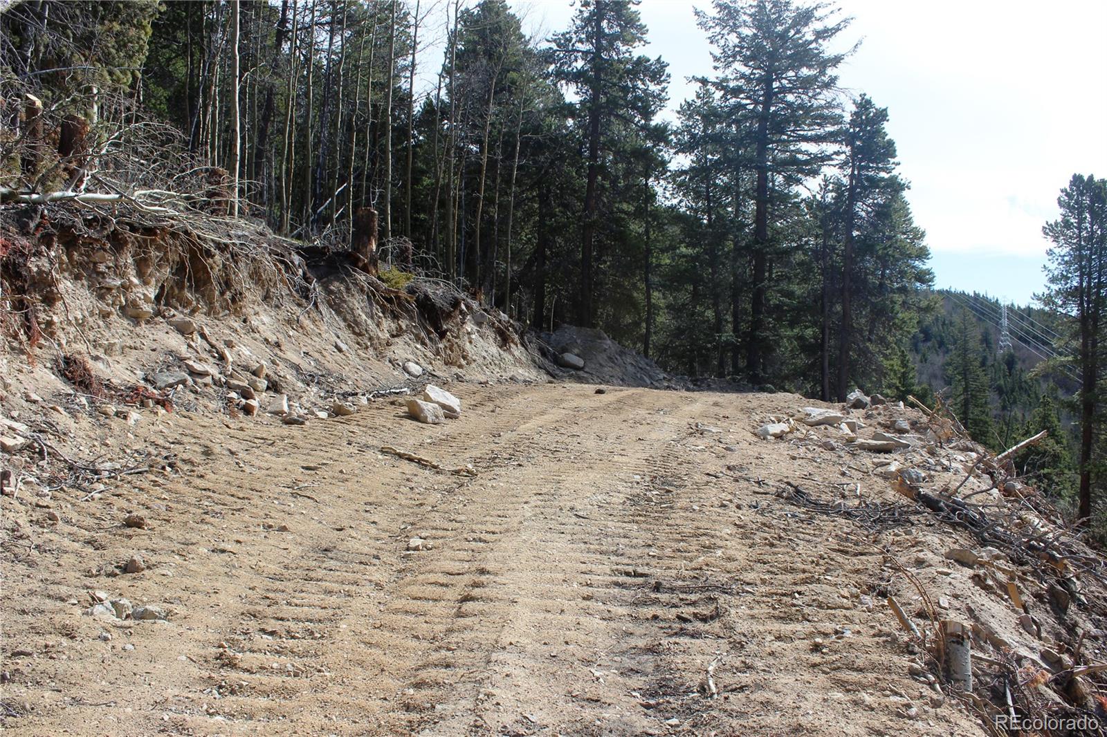 4-2 Lamertine Road Idaho Springs CO 80452
