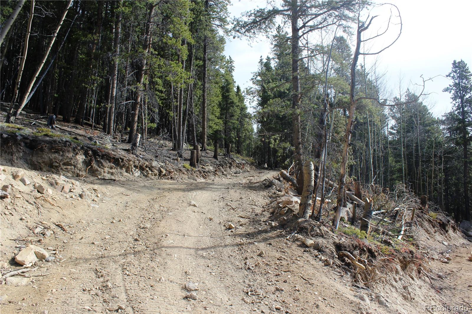 4-2 Lamertine Road Idaho Springs CO 80452