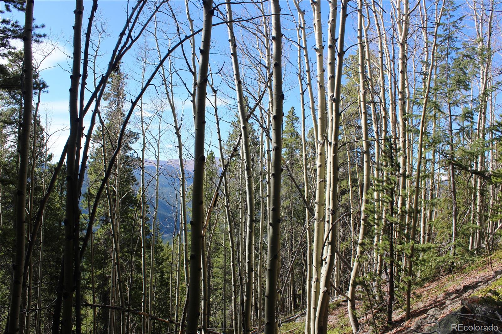 4-2 Lamertine Road Idaho Springs CO 80452