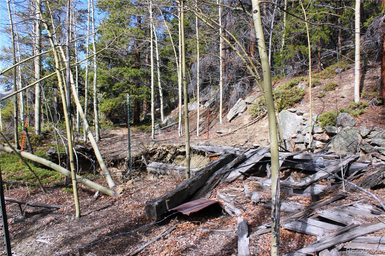 4-2 Lamertine Road Idaho Springs CO 80452