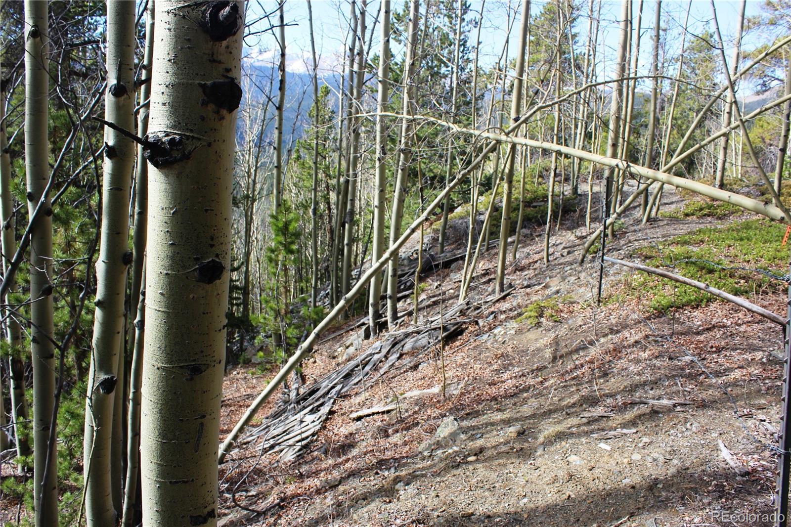 4-2 Lamertine Road Idaho Springs CO 80452