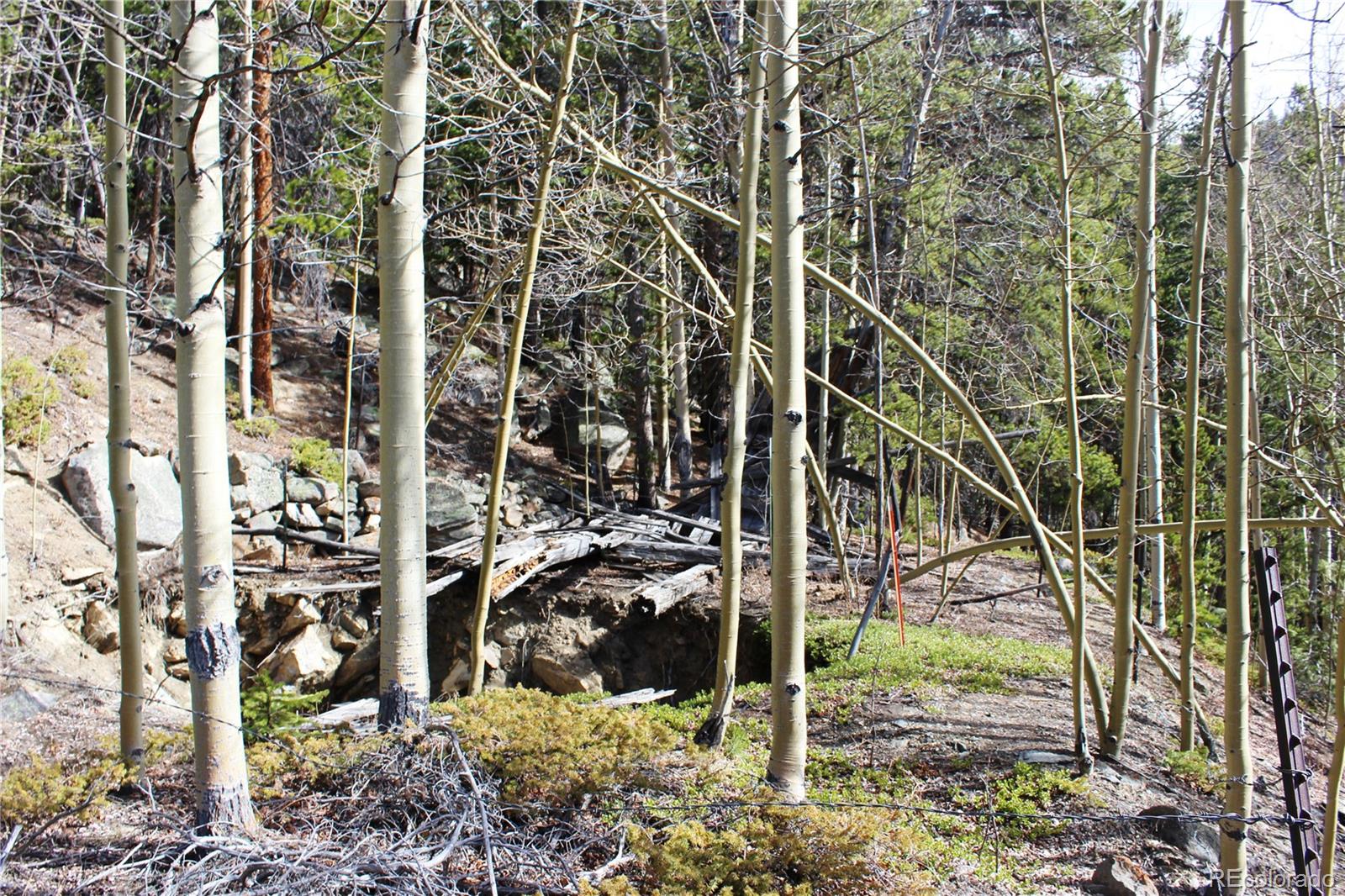 4-2 Lamertine Road Idaho Springs CO 80452