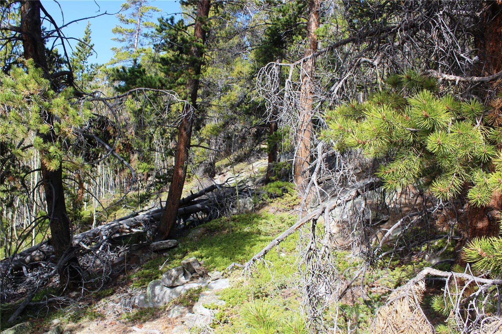 4-2 Lamertine Road Idaho Springs CO 80452
