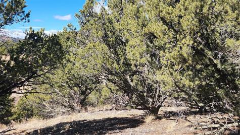 311 Kit Carson Trail Cotopaxi CO 81223