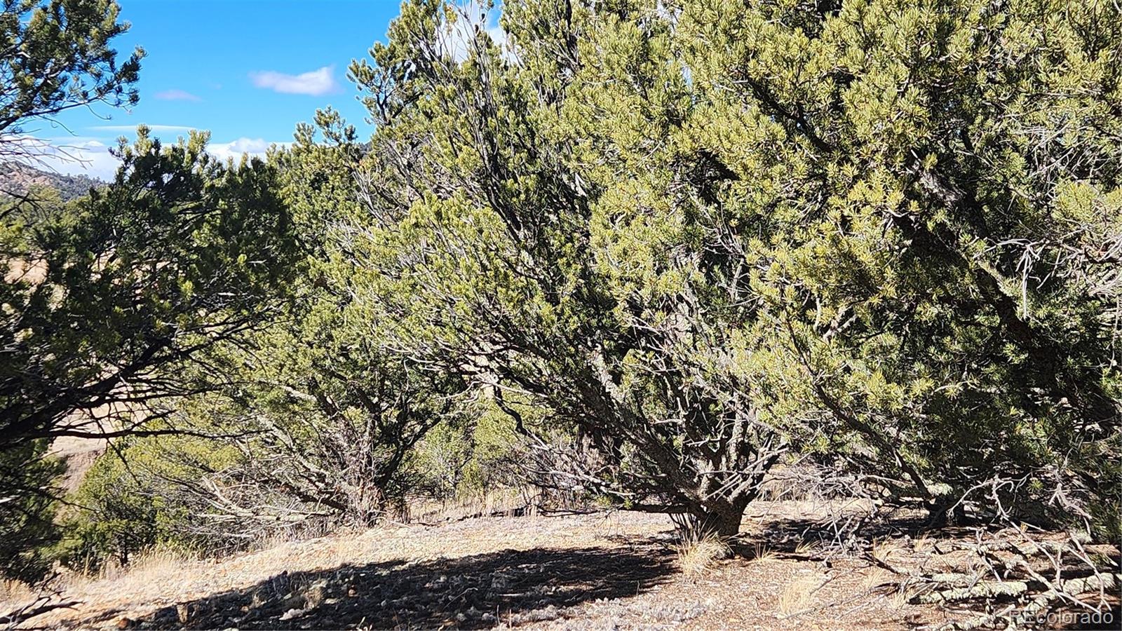 311 Kit Carson Trail Cotopaxi CO 81223