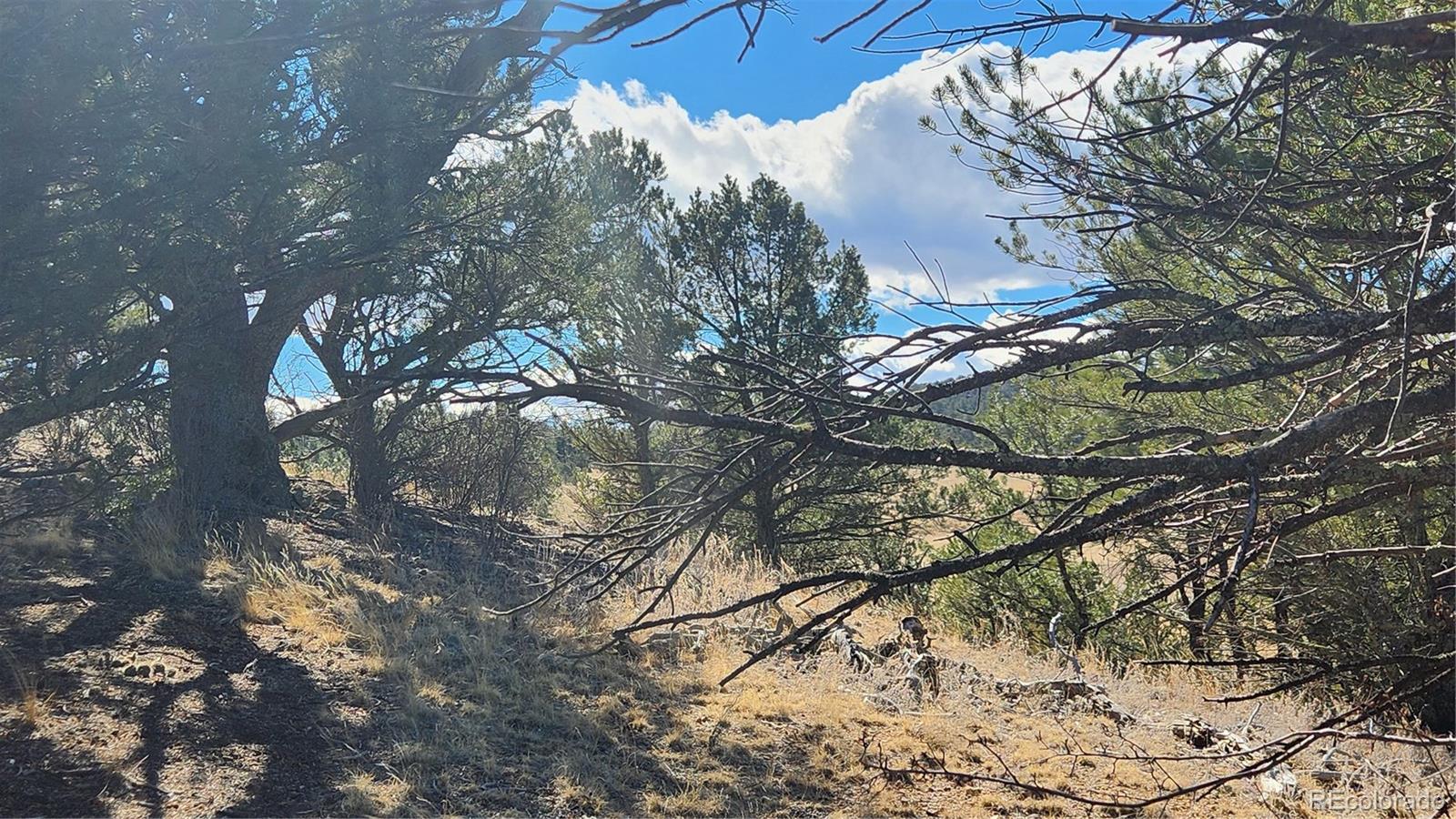 311 Kit Carson Trail Cotopaxi CO 81223