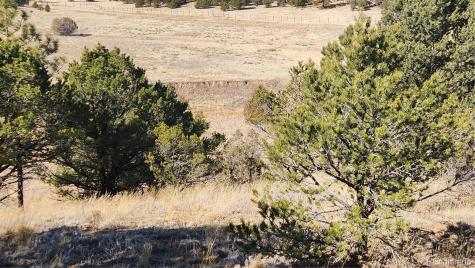 311 Kit Carson Trail Cotopaxi CO 81223