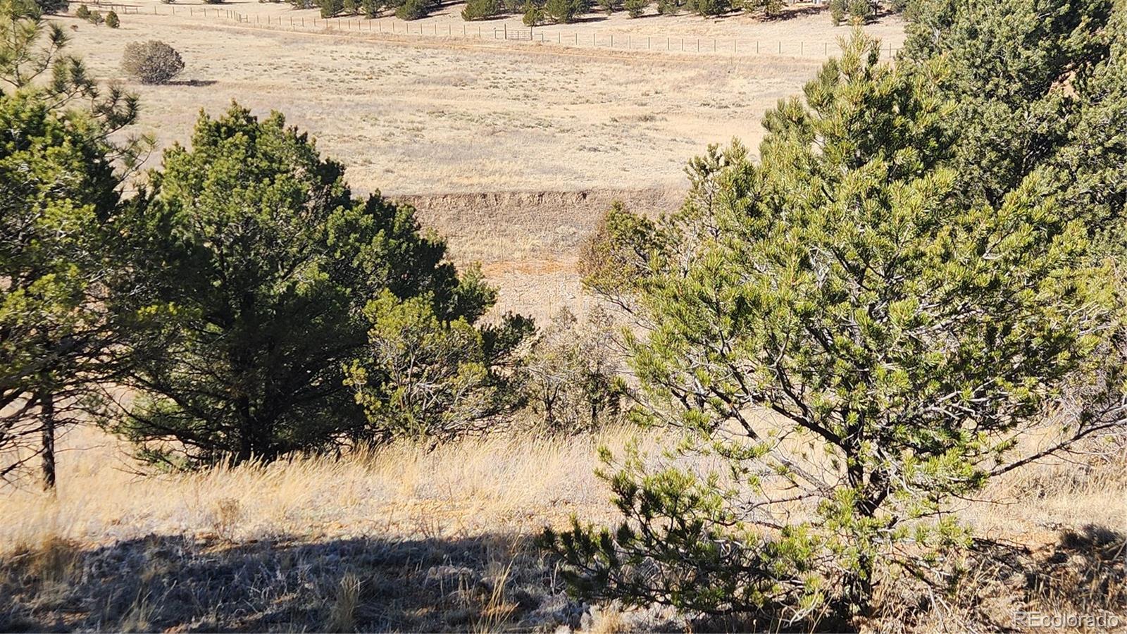 311 Kit Carson Trail Cotopaxi CO 81223