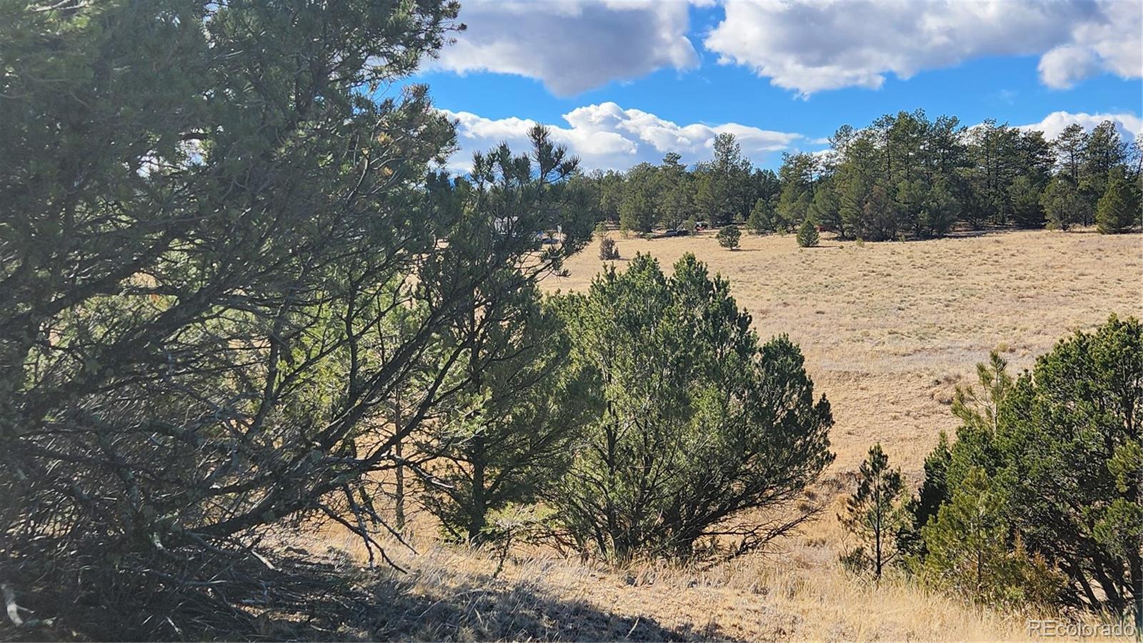 311 Kit Carson Trail Cotopaxi CO 81223