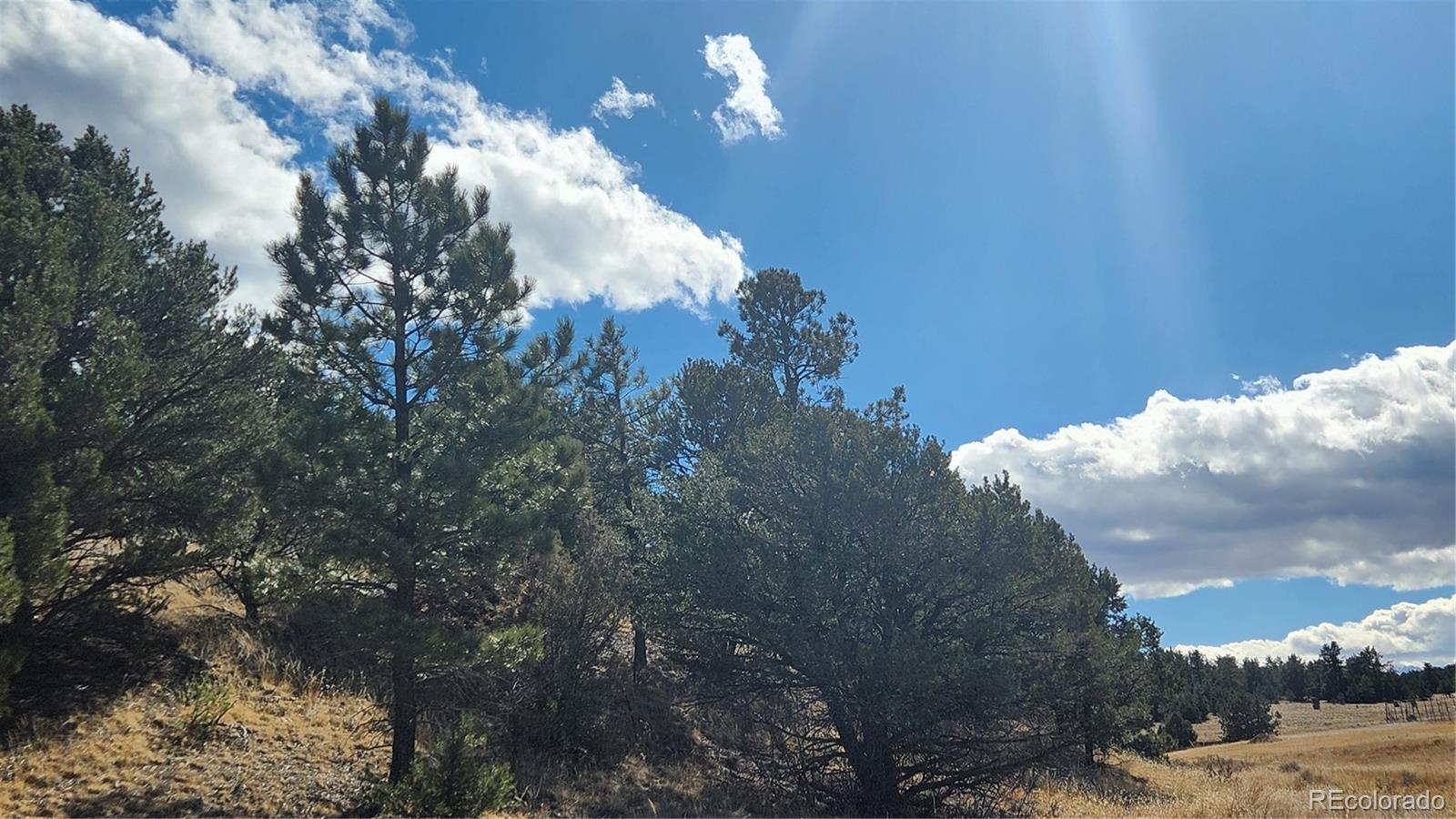 311 Kit Carson Trail Cotopaxi CO 81223