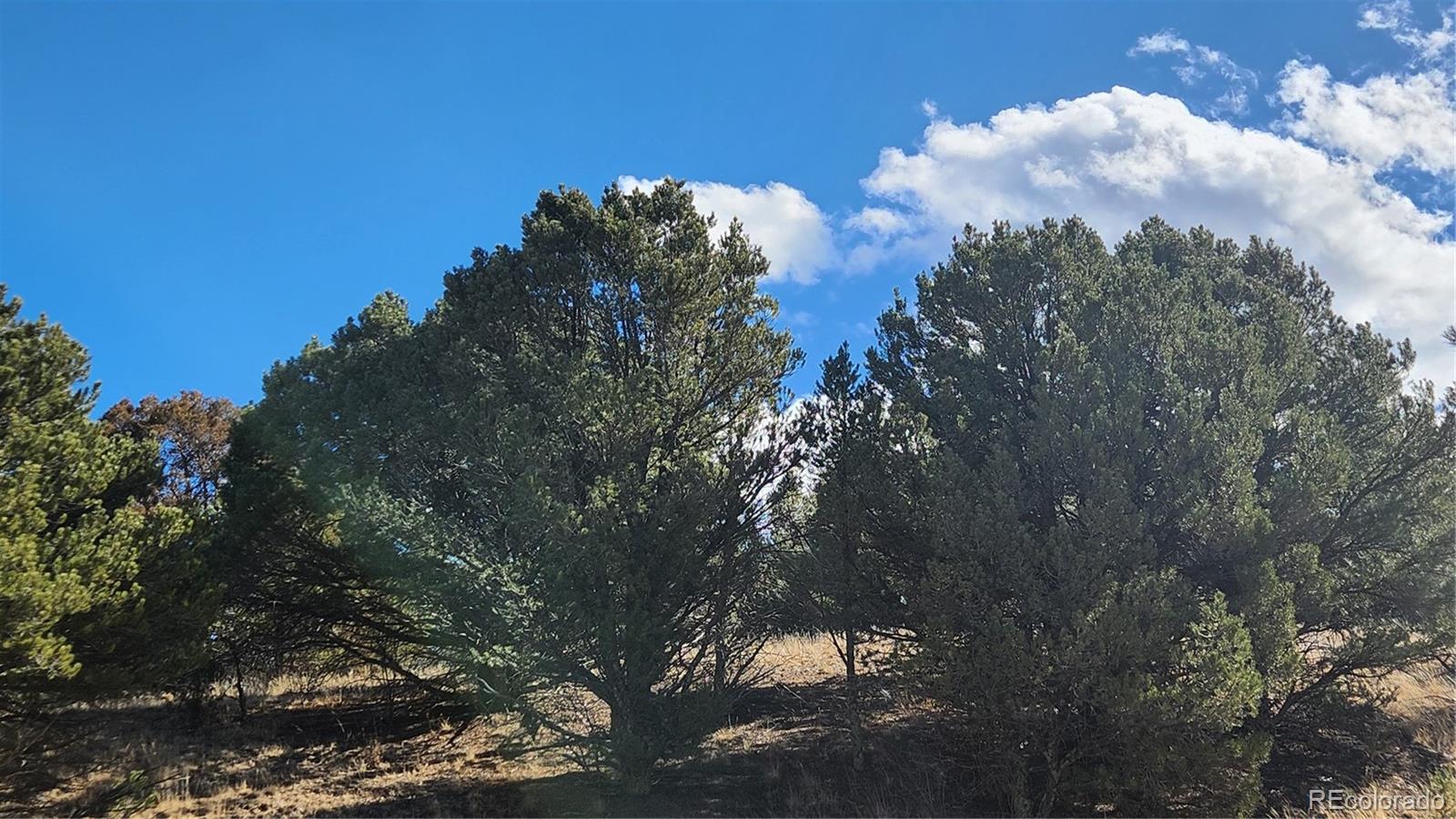 311 Kit Carson Trail Cotopaxi CO 81223