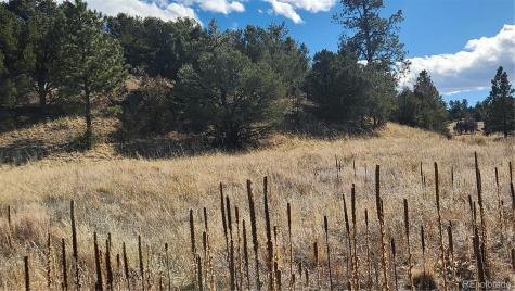 311 Kit Carson Trail Cotopaxi CO 81223