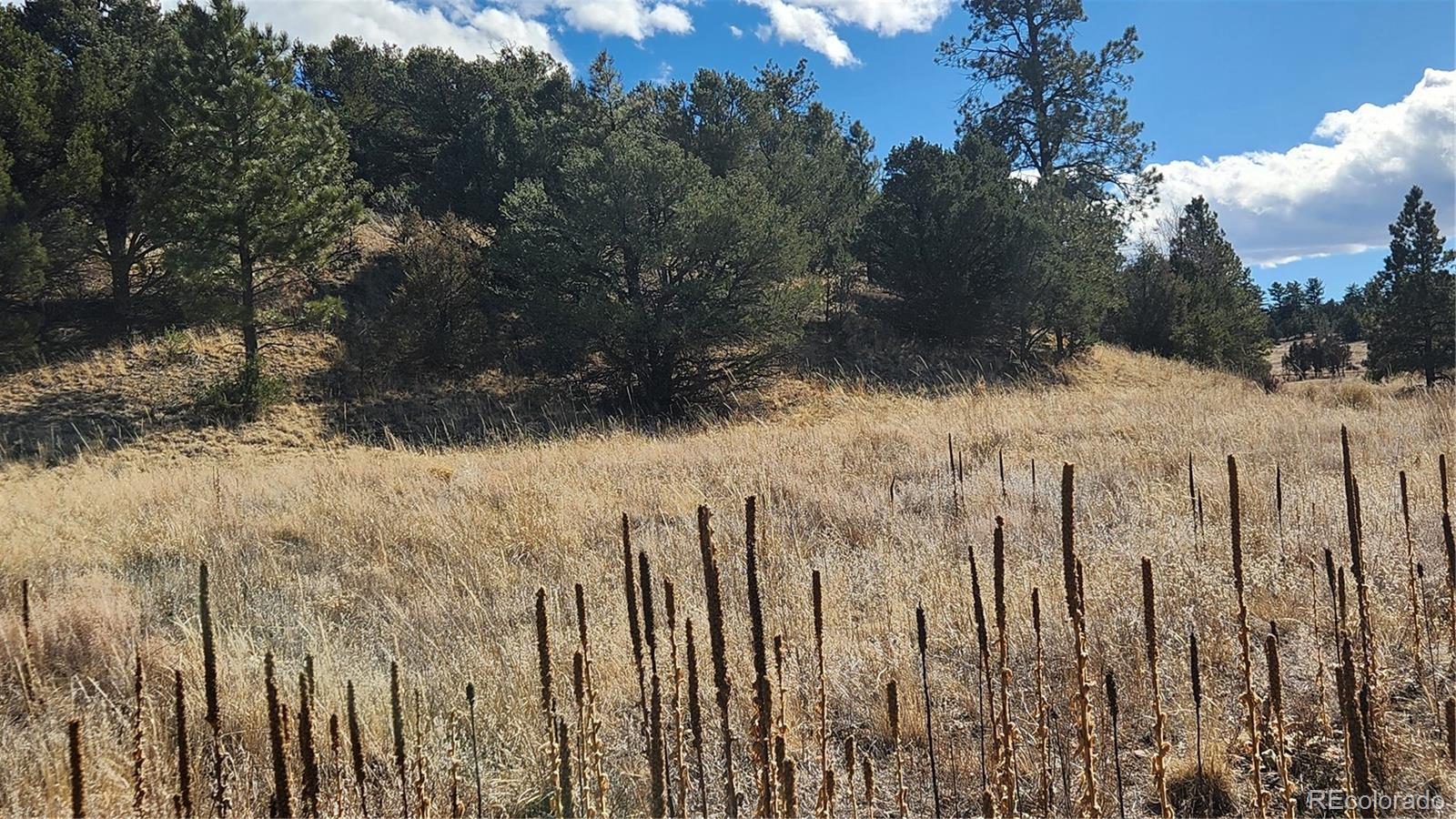 311 Kit Carson Trail Cotopaxi CO 81223