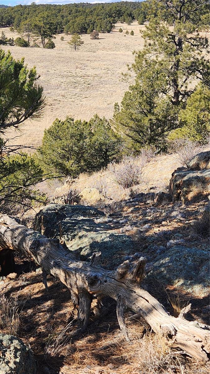 311 Kit Carson Trail Cotopaxi CO 81223
