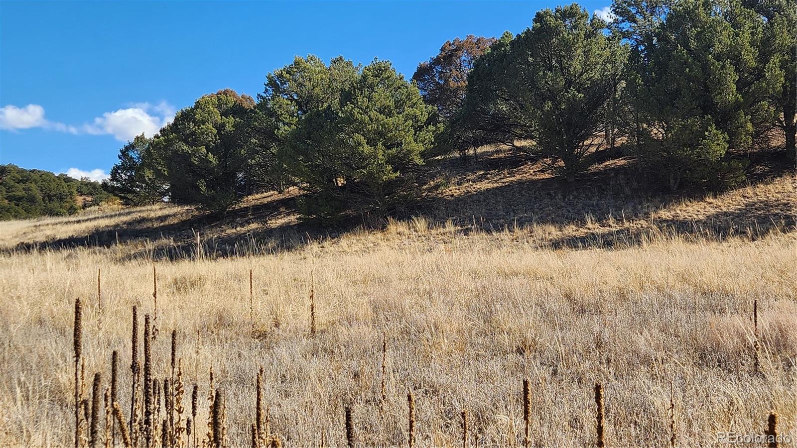 311 Kit Carson Trail Cotopaxi CO 81223
