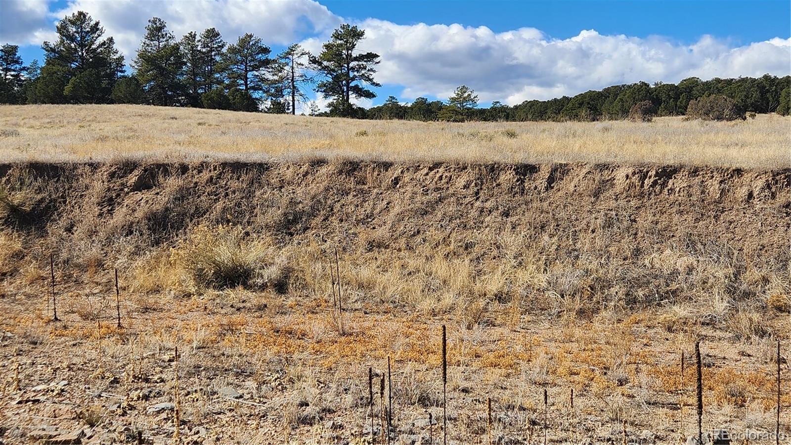 311 Kit Carson Trail Cotopaxi CO 81223