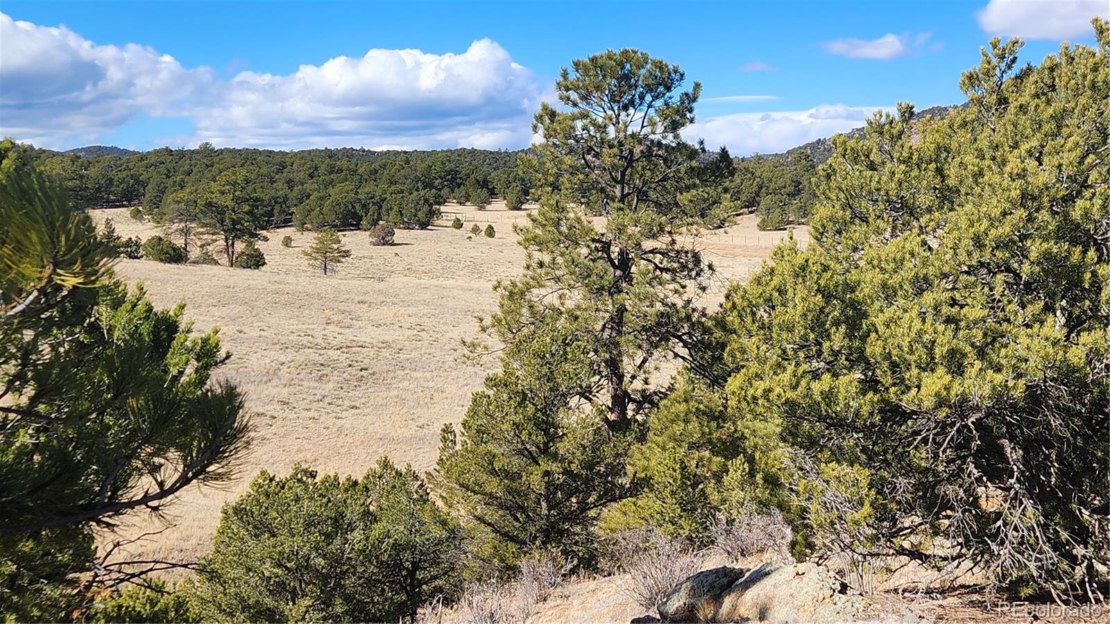 311 Kit Carson Trail Cotopaxi CO 81223