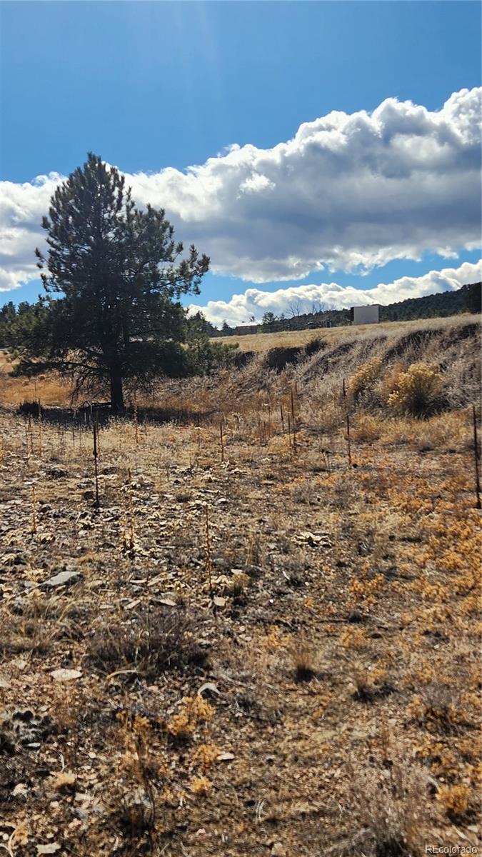 311 Kit Carson Trail Cotopaxi CO 81223