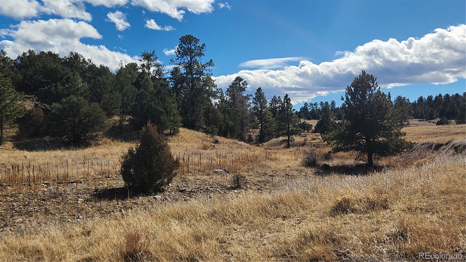 311 Kit Carson Trail Cotopaxi CO 81223
