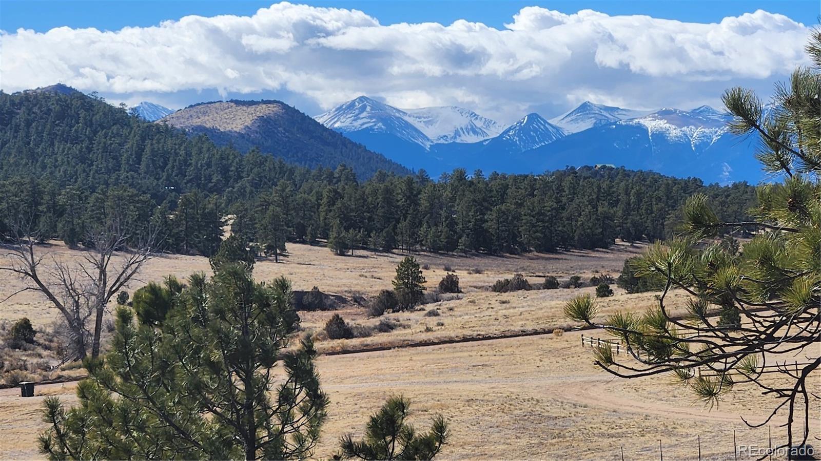 311 Kit Carson Trail Cotopaxi CO 81223