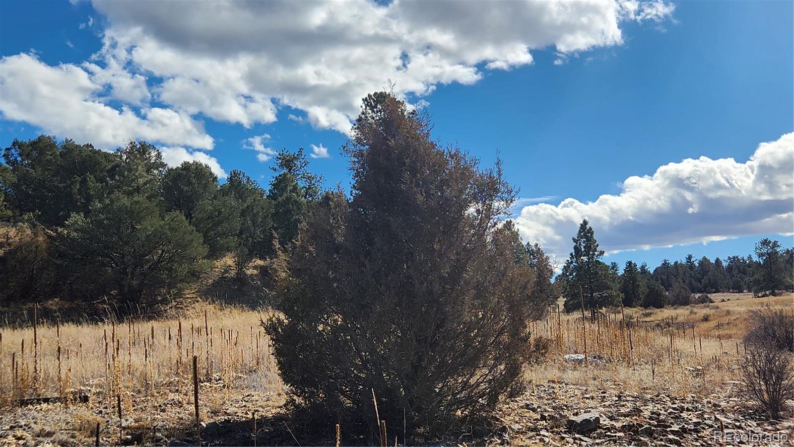311 Kit Carson Trail Cotopaxi CO 81223