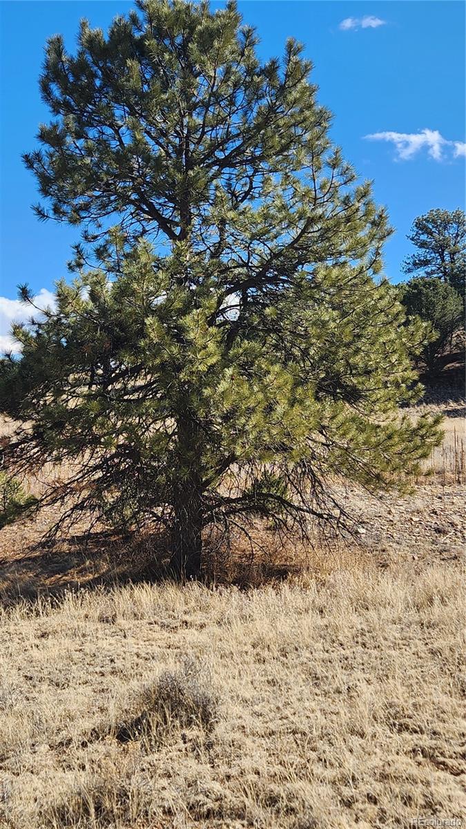 311 Kit Carson Trail Cotopaxi CO 81223