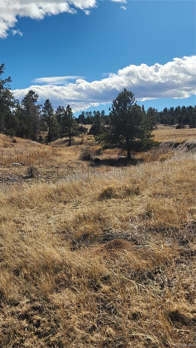 311 Kit Carson Trail Cotopaxi CO 81223