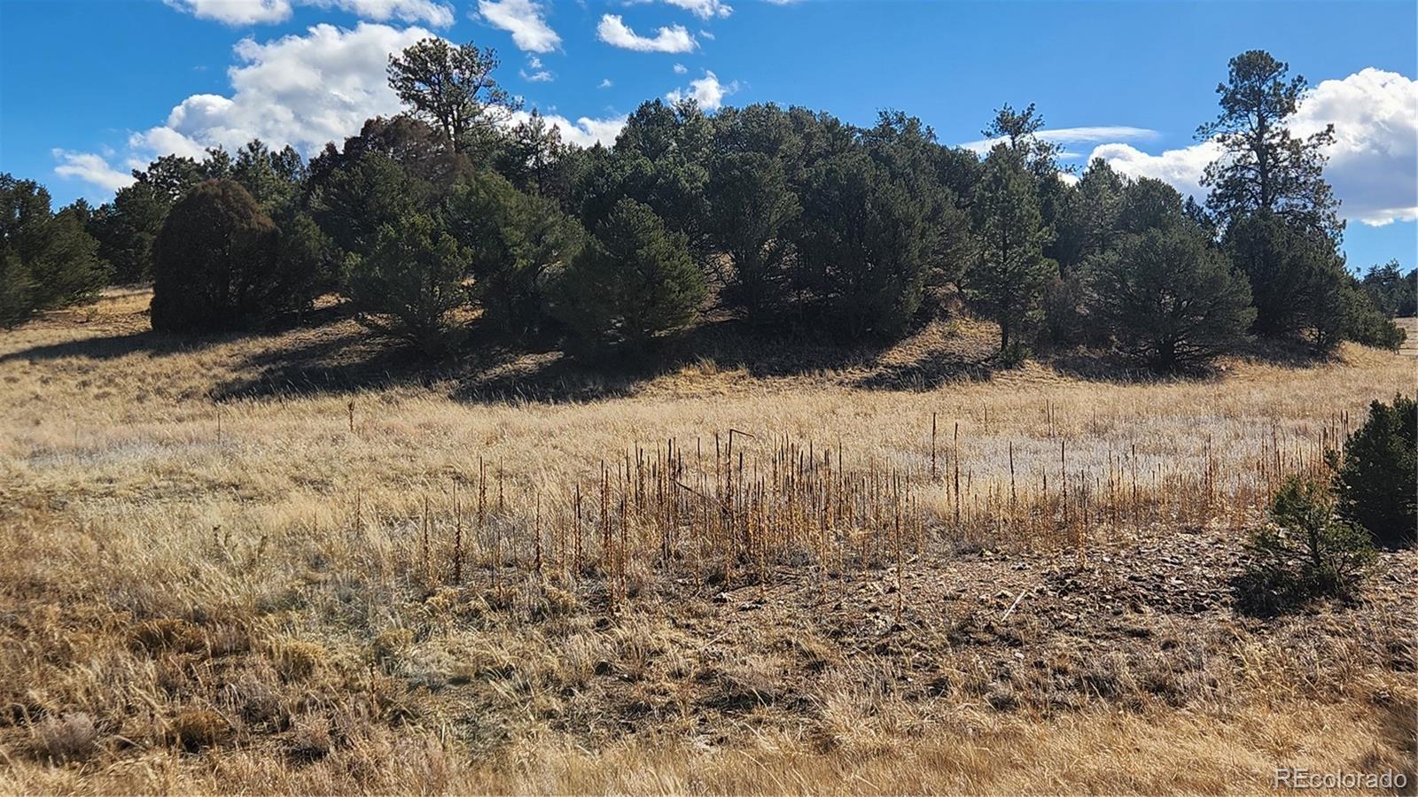311 Kit Carson Trail Cotopaxi CO 81223